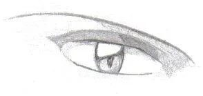 ses i.webp