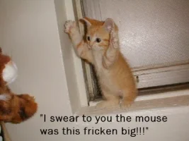 bigmouse.webp