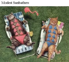 Sunbathers.webp