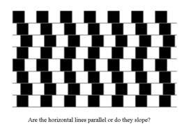 SLIDE12J.webp