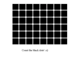 SLIDE11J.webp