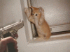 7-picture1.gif