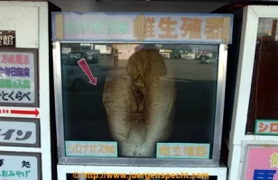 20040101100.webp