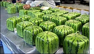 _1390088_watermelons300ap.webp