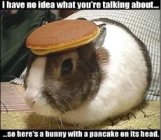 pancake.webp
