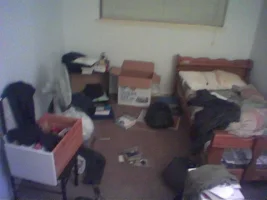 Image.webp