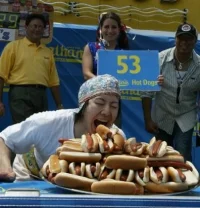 perrito1.webp