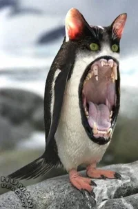 pwnguin.webp