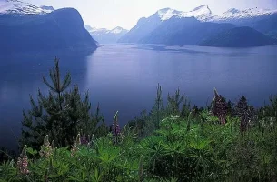 fiordo9.webp