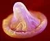 condom.webp