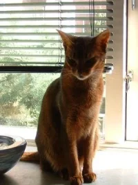 Elida_posing.webp