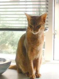 Elida-posing.webp