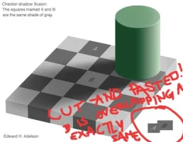 illusion.webp