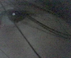 Picture 064.webp