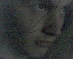 Picture 075.webp
