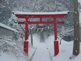 snowgate.webp