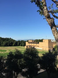 iPhone6-testshot.webp