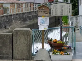 kano-castle-04.webp