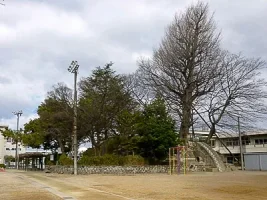 kano-castle-07.webp