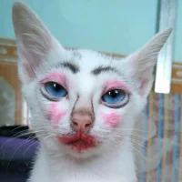 cwmu.webp
