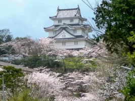 otaki-castle-01.webp