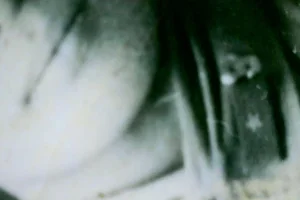 Photo on 4-27-23 at 9.27 AM.webp