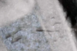 Photo on 4-27-23 at 9.16 AM.webp