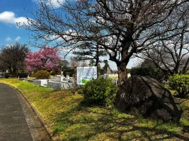 Sakunobe Castle