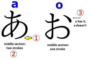 a-vs-o.webp