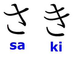 sa-vs-ki.webp