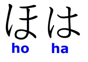 ho-ha.webp
