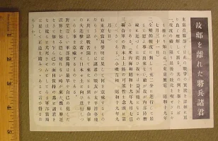 11-677b.webp