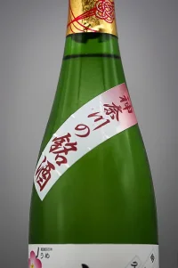 ishii-junmai-takatsu-04.webp