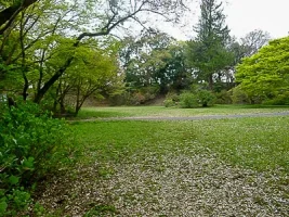 kasama-castle-09.webp