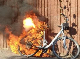 fire.webp