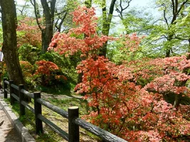 tanagura-castle-06.webp