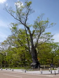 tanagura-castle-11.webp