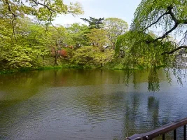 tanagura-castle-14.webp