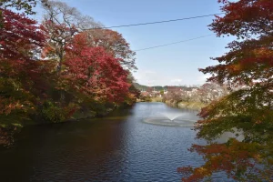 tanagura-moats-2016-2.JPG