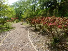 akadate-castle-01.webp