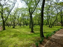 akadate-castle-05.webp