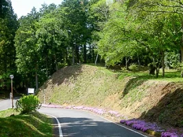 akadate-castle-06.webp