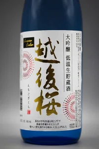 echigozakura-daiginjo-teion-04.webp