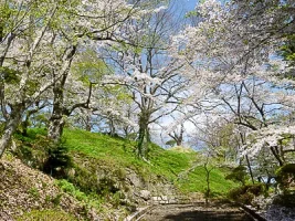 inawashiro-castle-05.webp