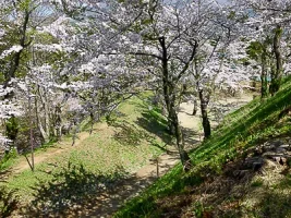 inawashiro-castle-09.webp