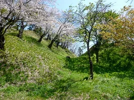 inawashiro-castle-11.webp