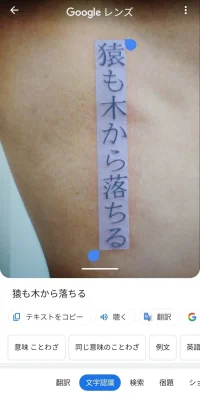 text.webp