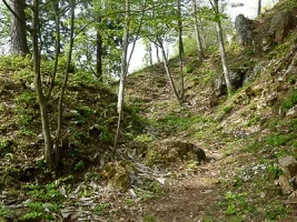 mukai-haguroyama-castle-05.webp