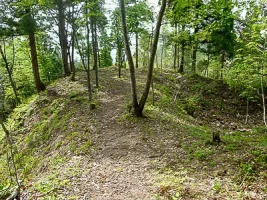 mukai-haguroyama-castle-07.webp