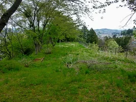 funehiki-07.webp